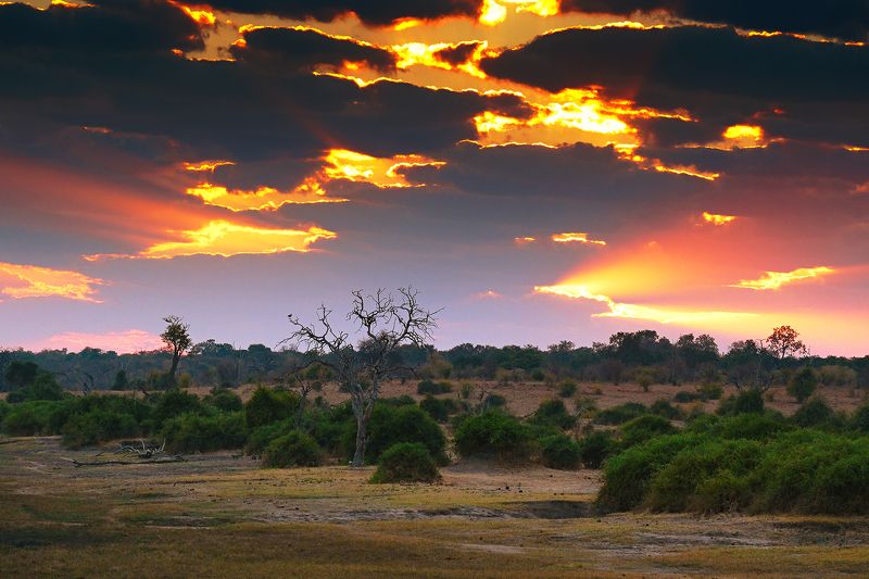 Cloudy sunrise фото превью