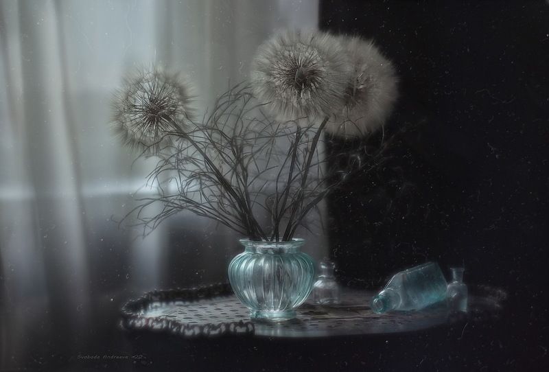 пушистое настроение*photo preview