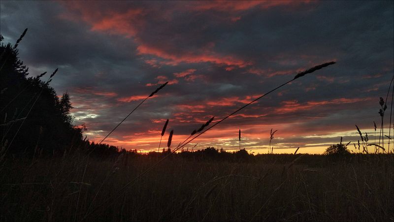 хутор каменистый. То не ветер ветку клонит... фото превью