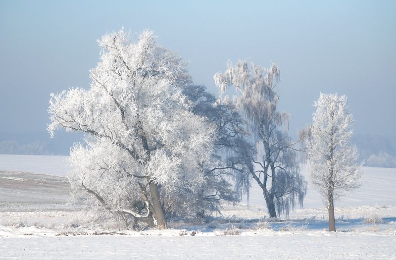 colours of winter...photo preview
