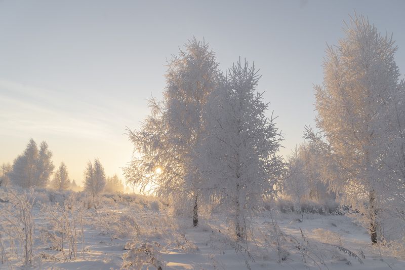зима Зимняя сказкаphoto preview