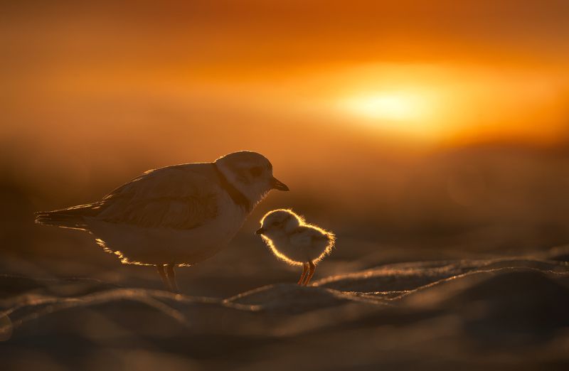 ❤️❤️photo preview