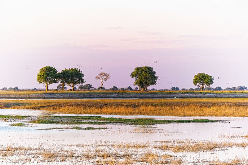 Aquarel фото превью