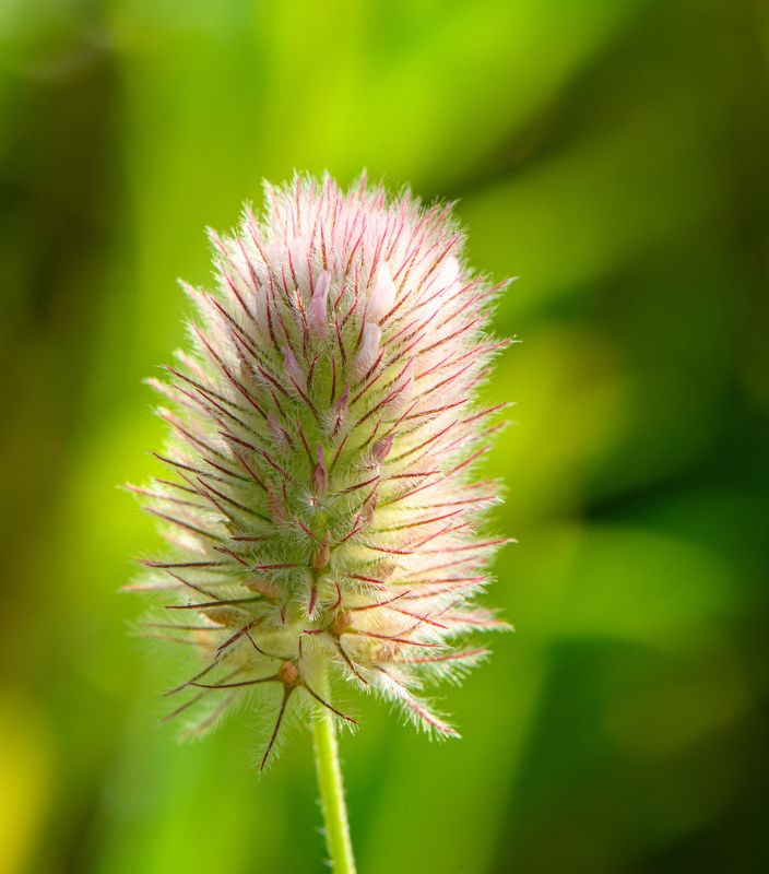 Mild roughnessphoto preview