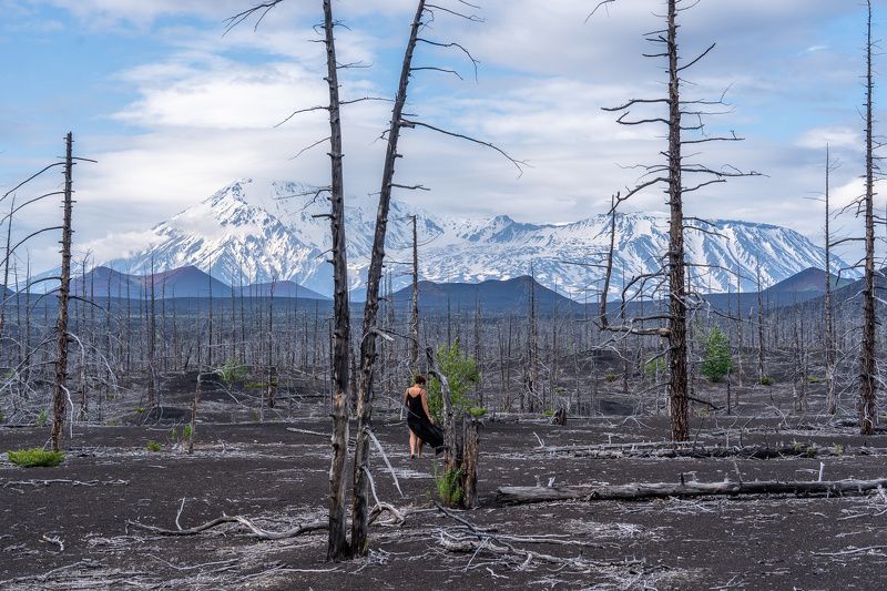 камчатка, мертвый лес, толбачик, volcano, tolbachik, kamchatka photo preview