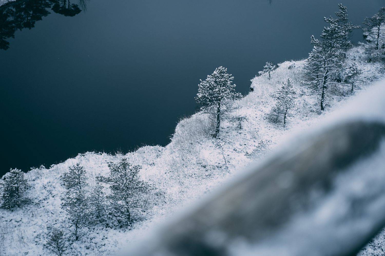 Cold winter landscape frozen snow swamp Kemeri. Автор: Raimond Klavins winter, sky, outdoor, new, frost, cover, environment, natural, snowy, beautiful, frozen, ice, forest, season, snow, nature, , Raimond Klavins