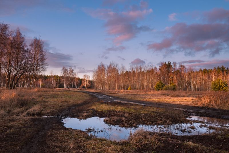 луг зима январь лужи  тучи закат Заглянула весна в гости, январьphoto preview
