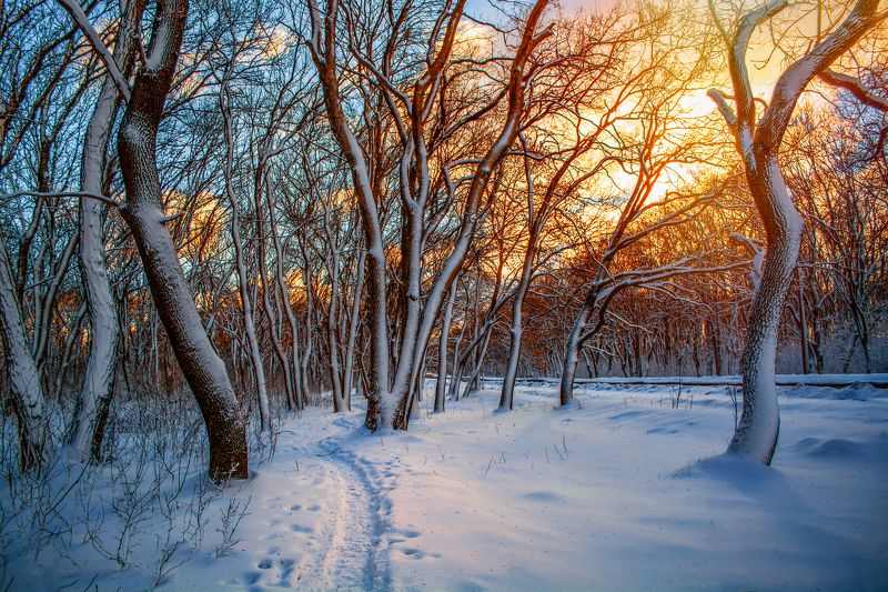 По скрепучему снегуphoto preview