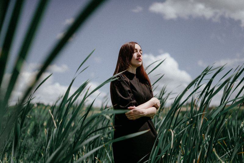 portrait, sun, flowers, river, summer, cattail, black  Cattailphoto preview