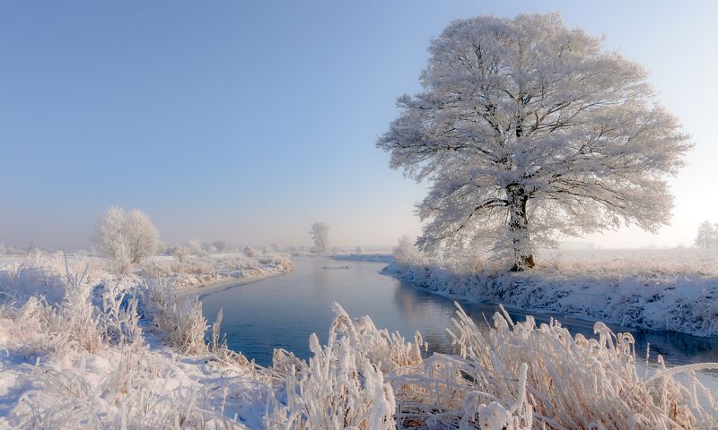 winter 2021, river, Gwda, nature, snow, frost, landscape, frost, tree, water, sky, light The natural beauty of winterphoto preview