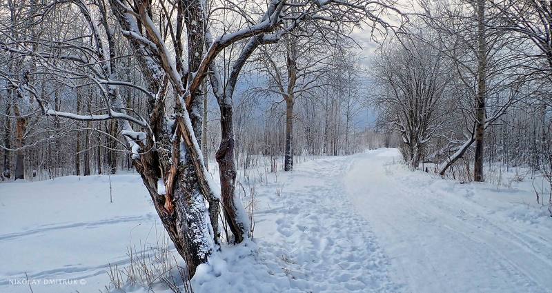 30 ноября.photo preview