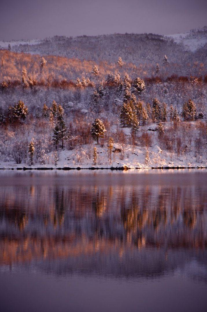 , Абрамов Денис