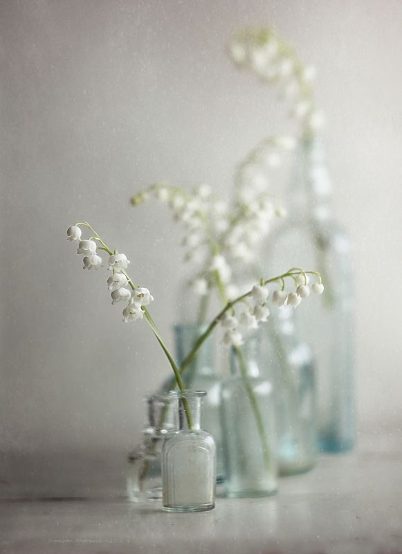 тёплые воспоминания*photo preview