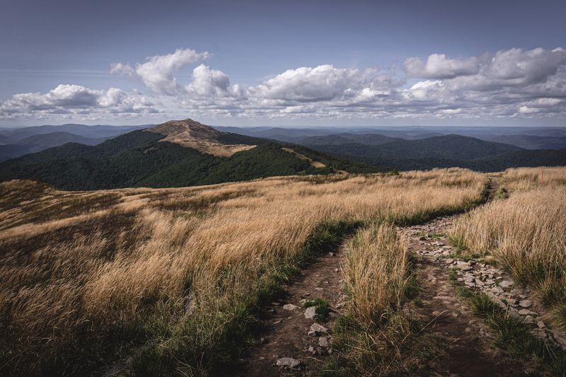 bieszczady, połonina, wetlińska, pasture, wetlina, smerek, cisna, ustrzyki, wołosate, caryńska, poland, fiends, mountains, podkarpacie, podkarpackie, tourism, trekking, hiking, green, grass, autumn, brown, gold, sky, blue, cottage, pooh, trail, panorama,  Połonina Wetlińskaphoto preview