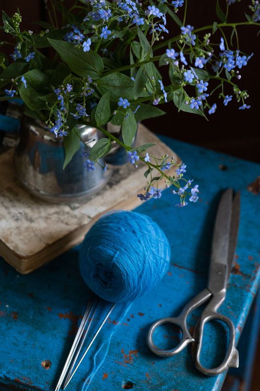 незабудка, синий, натюрморт Ностальгияphoto preview