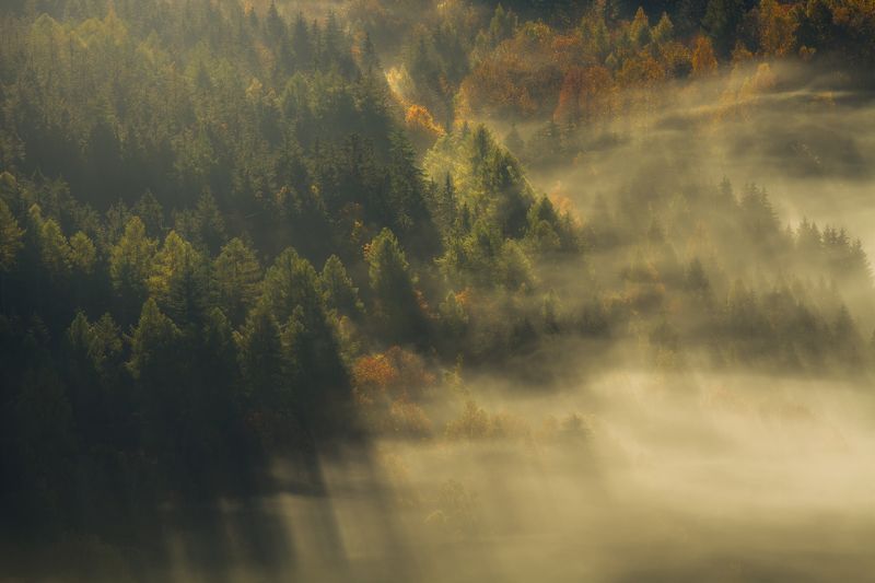 landscape,autumn,mountains,canon A Gentle Touch of Sunlight...photo preview