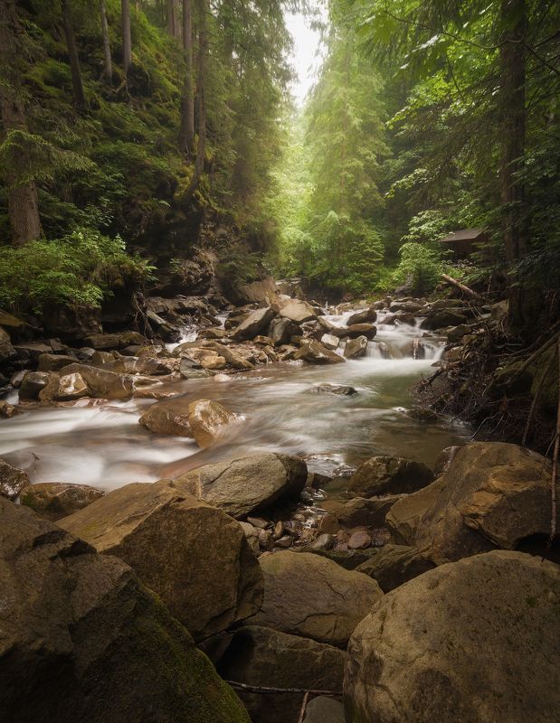 карпаты, украина, река, горы Река \