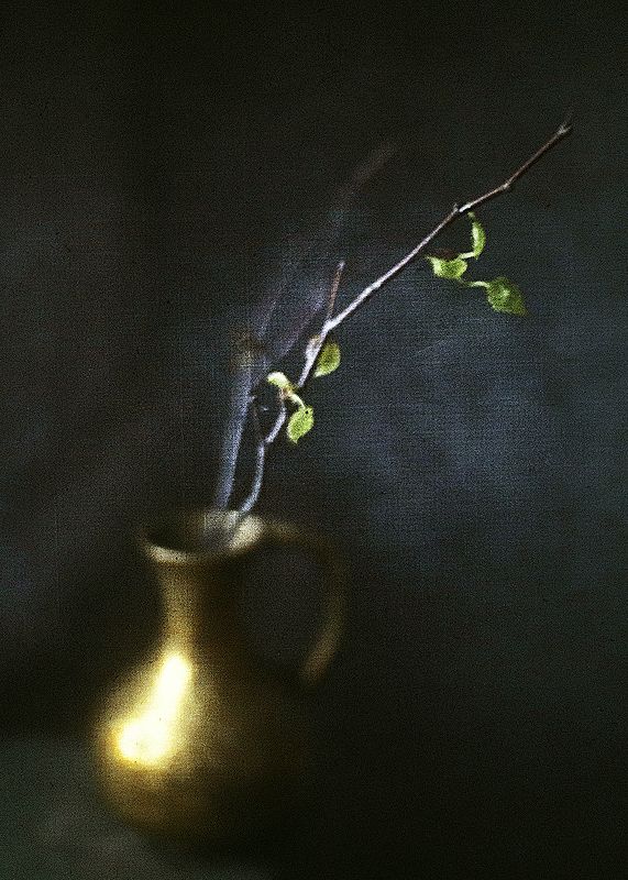 Весна в заточении...photo preview