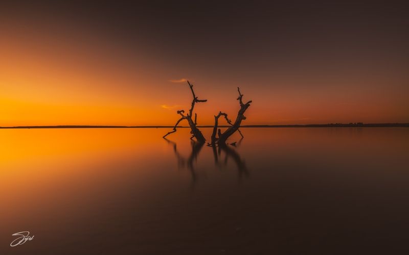 The Core Of Beauty Is Simplicityphoto preview