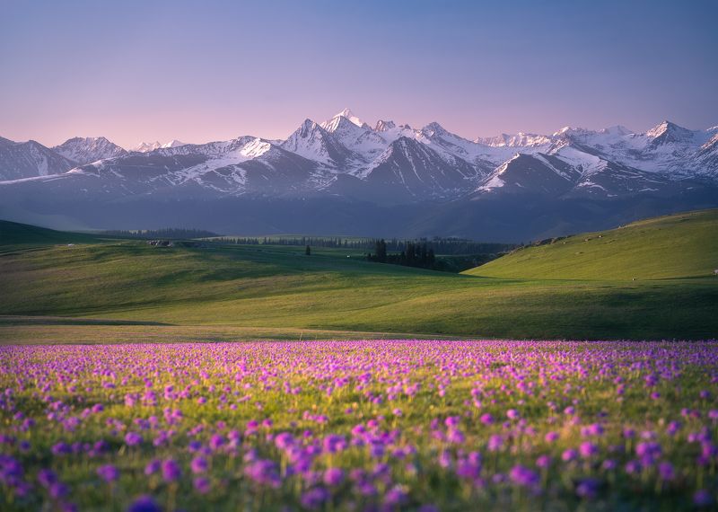 新疆喀拉峻photo preview