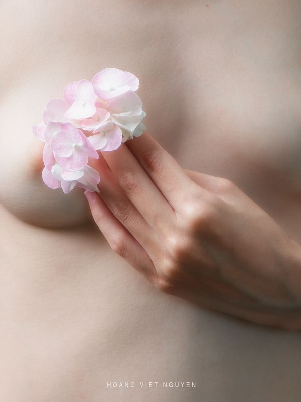 fine nudes, nude, flowers, skin, young, asian, vietnamese, vietnam, studio, hydrangea * * *photo preview
