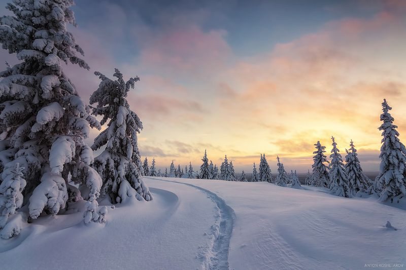 У опушкиphoto preview