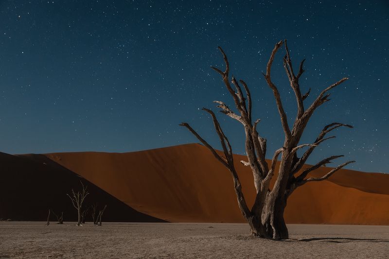 Намибийская ночьphoto preview