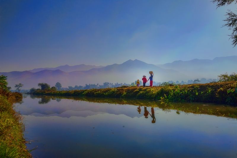 To The Workplacephoto preview