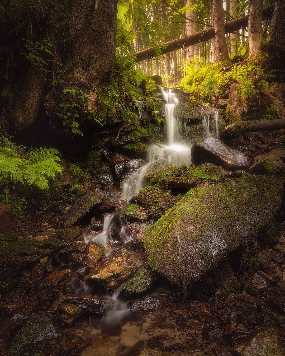 карпаты, украина, ручей, яремче, лес, горы, Назар Рябуха