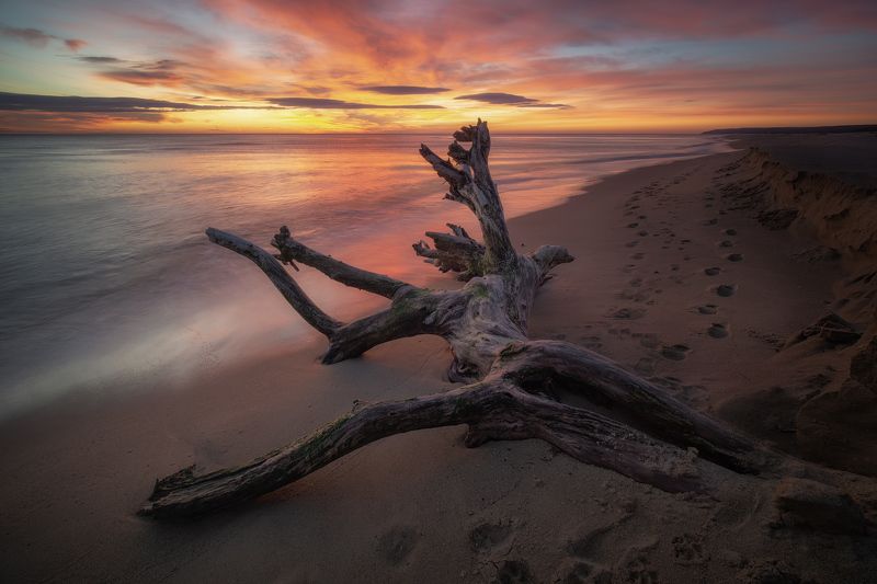 Golden sunrise photo preview