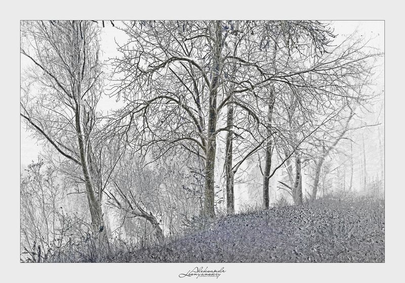 Забайкальский край Сновидениеphoto preview