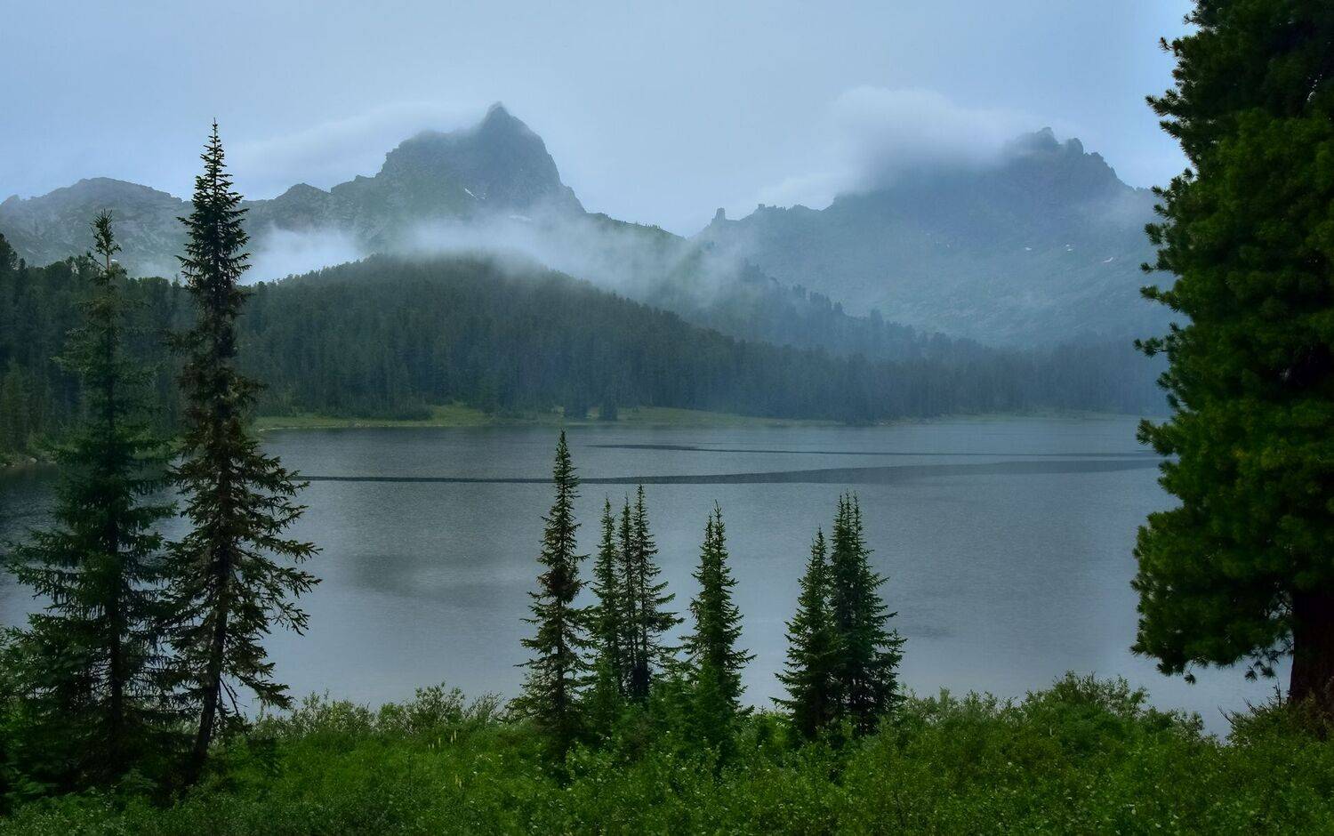 Пасмурно на озере Светлом. Автор: Холзаков Вячеслав россия, сибирь, саяны, ергаки, лето, пасмурно, дождь, озеро светлое, ели, кедр, горы, Холзаков Вячеслав