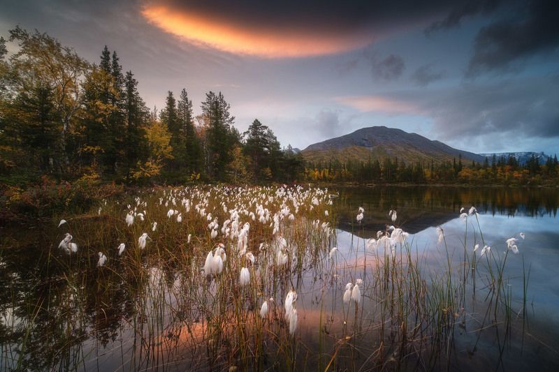 россия, мурманская область, кольский полуостров, пейзаж, природа, осень, заполярье, рассвет, хибины, водопад, река Краски Кольскогоphoto preview