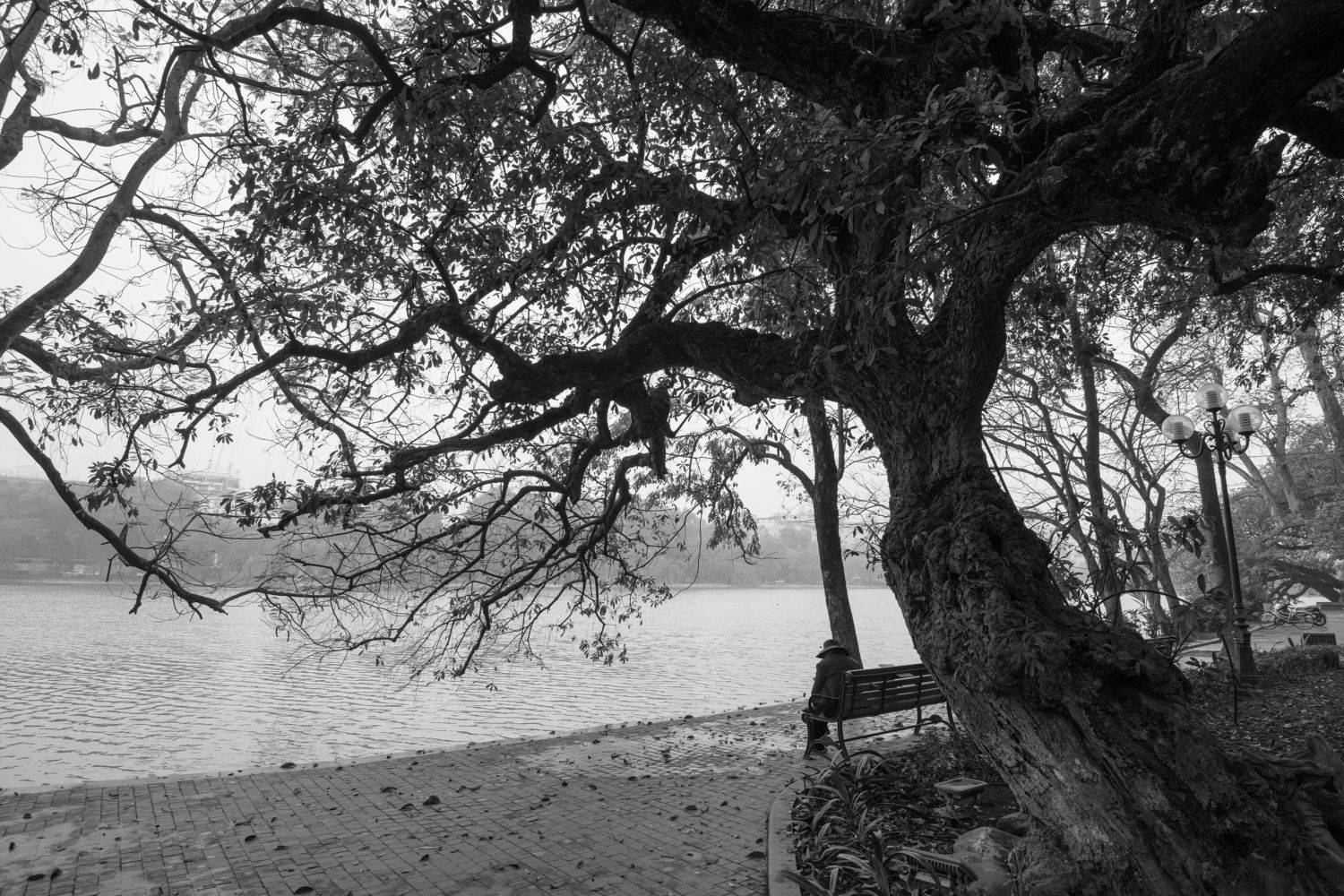 ,  Nguyễn Mạnh Đức