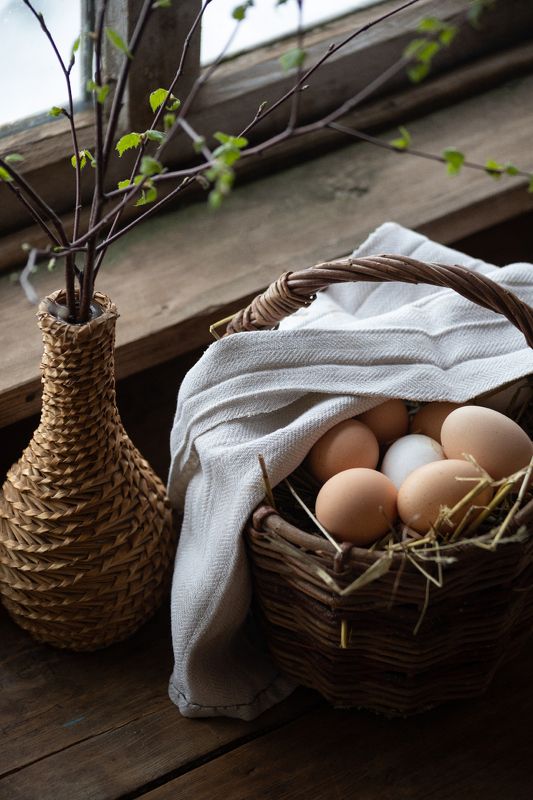 весна, яйца, листва Начало жизниphoto preview