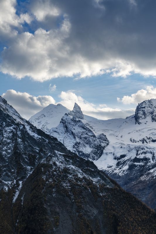 Зуб Софруджуphoto preview