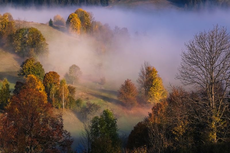 Рассветнаяphoto preview