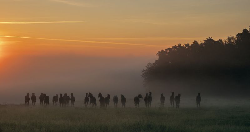 Untitledphoto preview