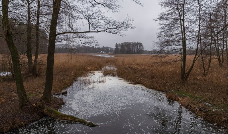 на прудах...photo preview