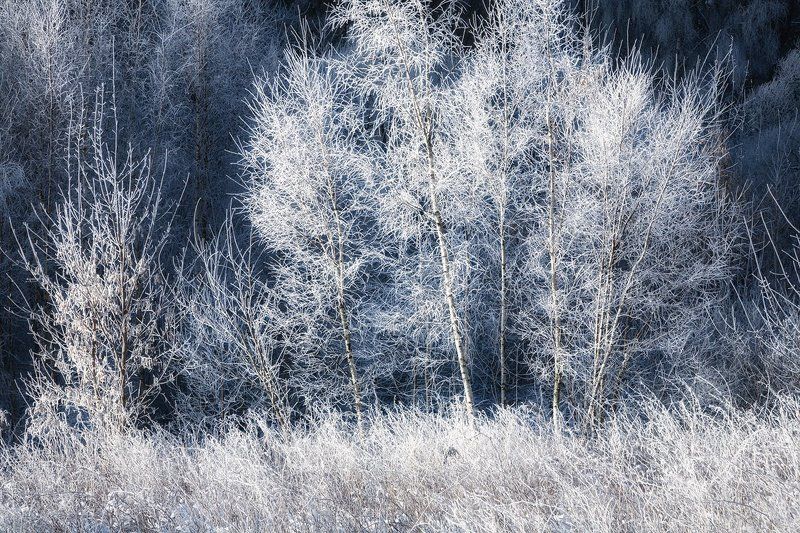 Инейphoto preview