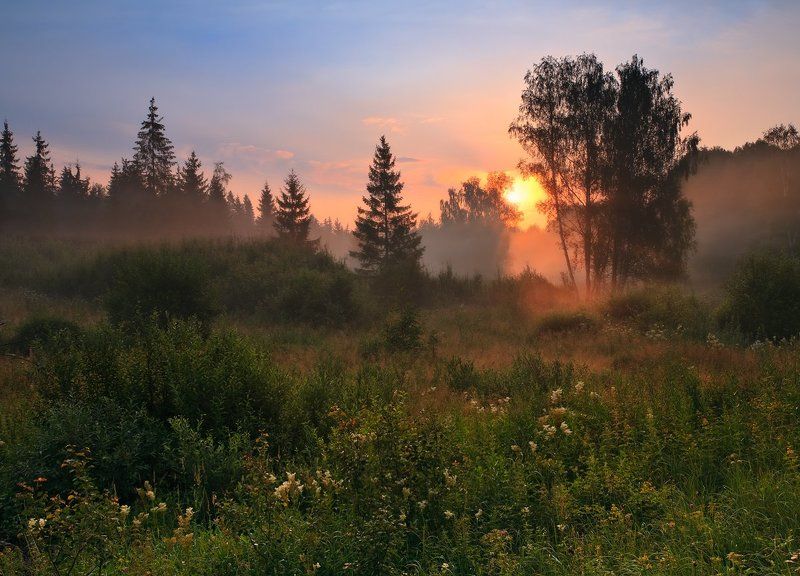 Рассвет на опушкеphoto preview