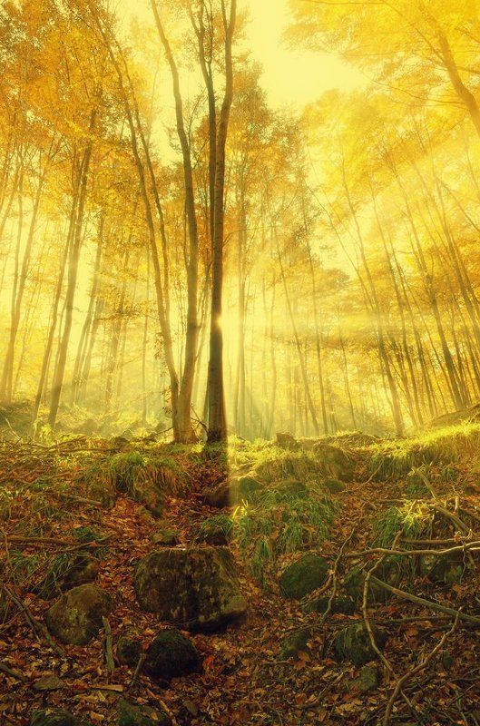 Human Soulphoto preview