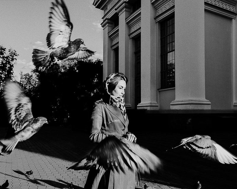 Птицыphoto preview