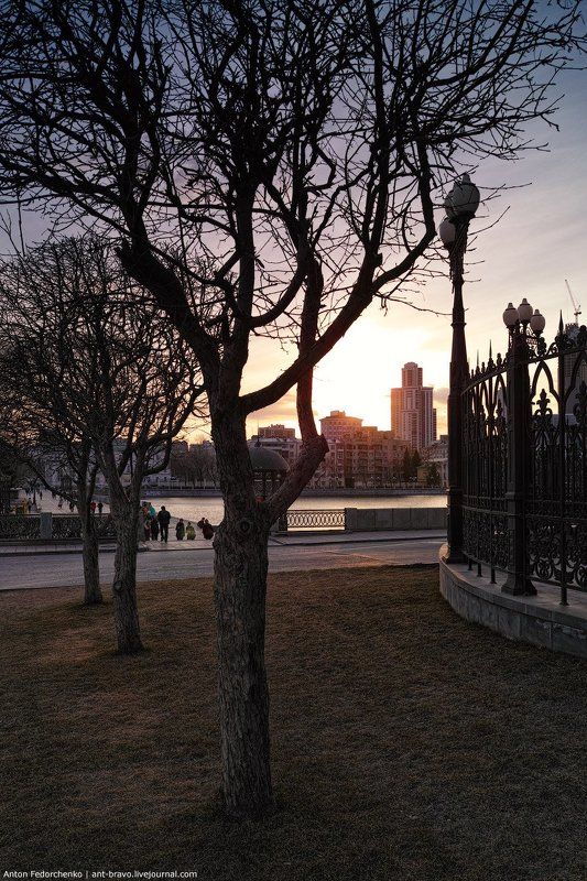 Весна, Деревья, Екатеринбург Один весенний вечер фото превью