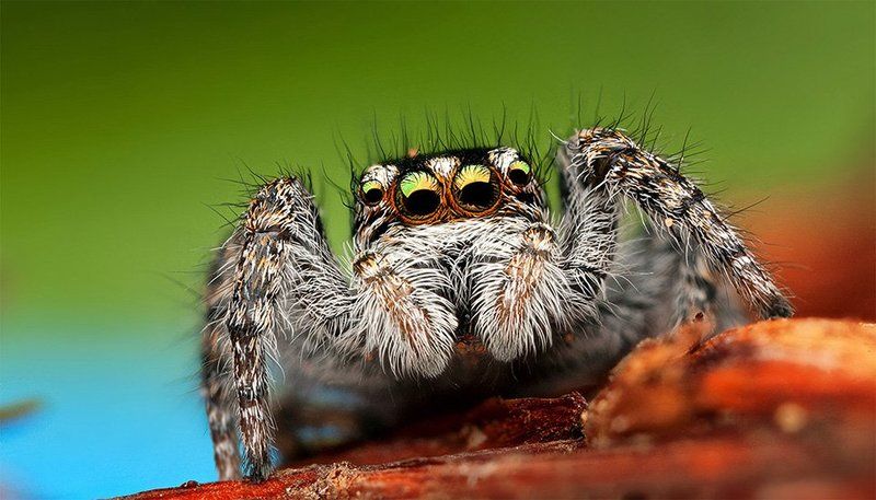 What\'s up ?photo preview