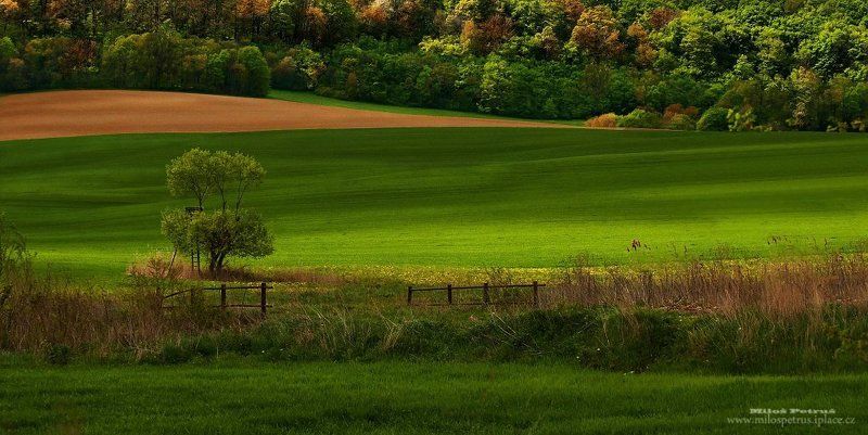 Зеленая долинаphoto preview