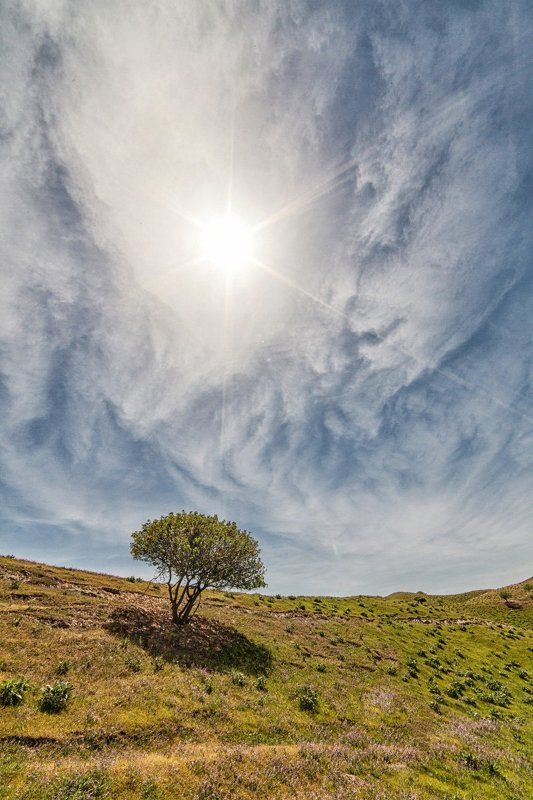 Хатлонский солнцепекphoto preview