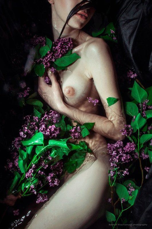 сиреньphoto preview