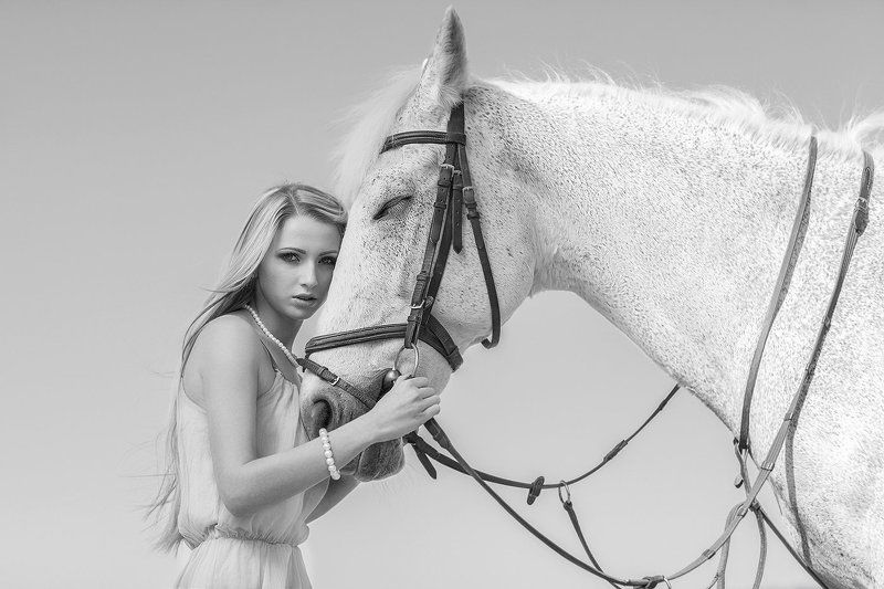 my horsephoto preview