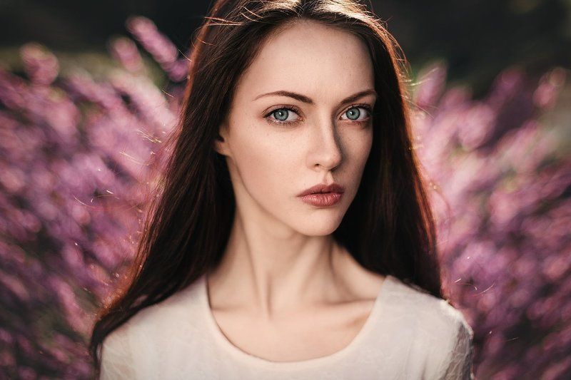 Butterflyphoto preview